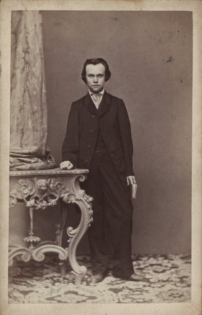 作曲家アントン・ルビンスタインの肖像 1829-1894. 作： Vienna . Photo studio Franz Schultz