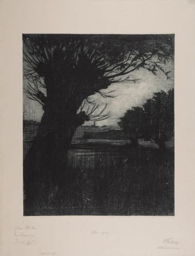 池にて 作： Viktor Böhm