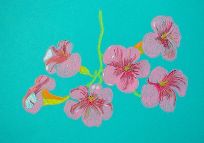 ピンクの花の絵 作： Viktoriia Saunina