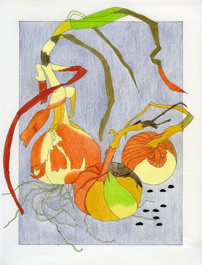芽吹く玉ねぎの静物画 作： 