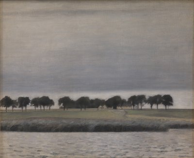 ソルレグンの予備調査。 ゲントフテ湖、1903 年。 作： Vilhelm Hammershøi