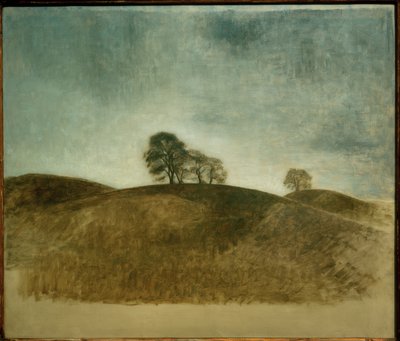 ダンケバッケ、フレデリクスバーク 作： Vilhelm Hammershoi