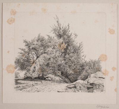 大きな小石 作： Vilhelm Kyhn