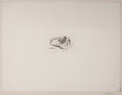 犬の頭 作： Vilhelm Kyhn