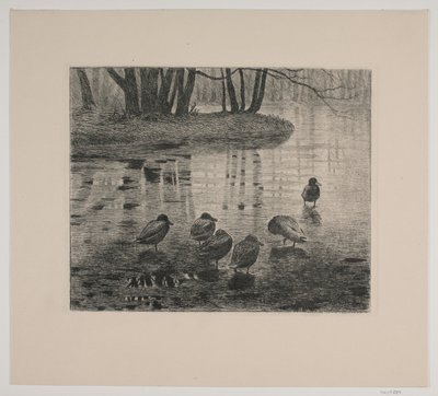 アヒル 作： Vilhelm Th. Fischer