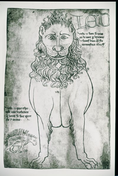 Ms Fr 19093 fol.24vライオンとヤマアラシ（ファクシミリ） 作： Villard de Honnecourt