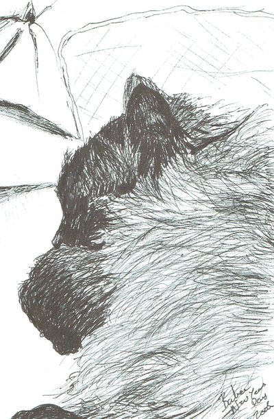 赤ちゃんのお正月 2005, 2005 作： Vincent Alexander Booth