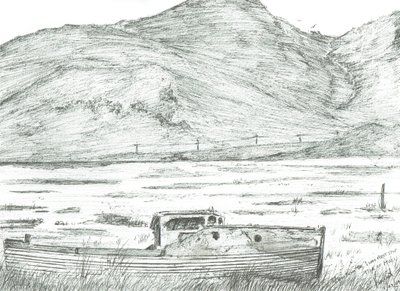 乾いた土地に浮かぶボート、マル島、2007年 作： Vincent Alexander Booth