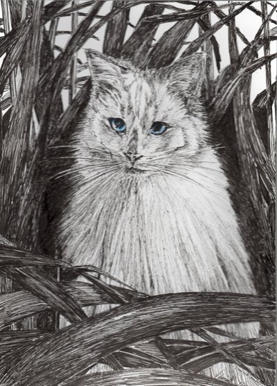 ジャングルモンティ、2015年（紙にインク） 作： Vincent Alexander Booth