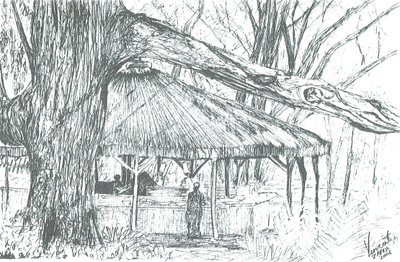 ナイバシャ湖の屋外バー、2006年；（紙にインク 作： Vincent Alexander Booth