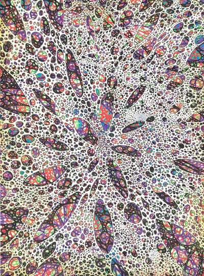 スターが2016年にカラーを生む（Ink on paper） 作： Vincent Alexander Booth