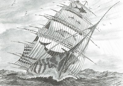 ストームクリエイターズ ガラボガスコール湖海、2020年 作： Vincent Alexander Booth