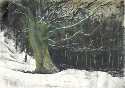 冬の雪の中の木（Osmotherleyの森にて 作： Vincent Alexander Booth