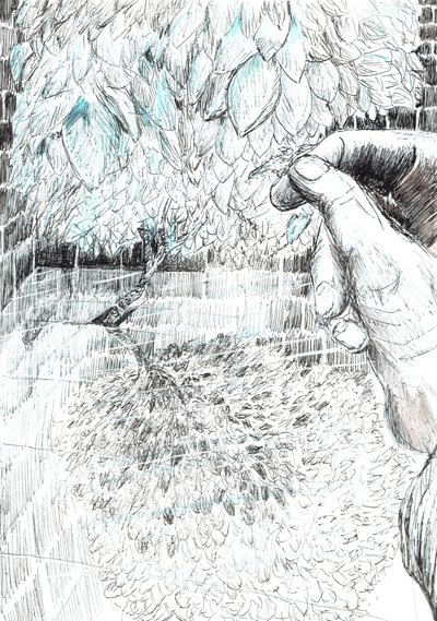 ページ43、フィンドホーンの森の城、2006年（紙にインク） 作： Vincent Alexander Booth
