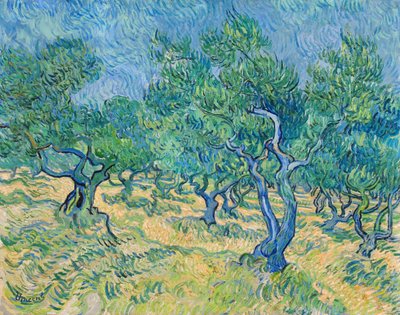 オリーブの木立、1889 年。 作： Vincent van Gogh