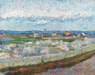 ブロッサムの桃の木、1889年。 作： Vincent van Gogh