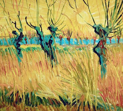 日没時の柳、1888年。 作： Vincent van Gogh
