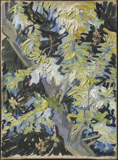 ゴッホ、フィンセント、ファン（1853-1890）の「アカシアの花」。油彩・キャンバスサイズ：33x24cmストックホルム国立博物館 作： Vincent van Gogh