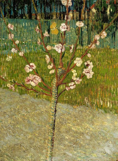 花のアーモンドの木 作： Vincent van Gogh