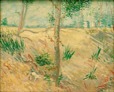 日光の下で木の幹 作： Vincent van Gogh