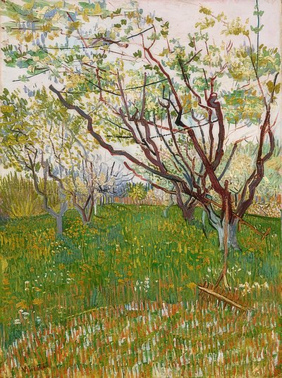 開花果樹園。 1888 作： Vincent van Gogh