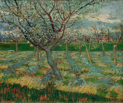 アプリコットの木が咲く果樹園 作： Vincent van Gogh
