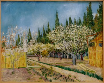 ヒノキに囲まれた開花果樹園 作： Vincent van Gogh