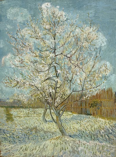 開花桃の木（ピンク）。アルル、1888年4月-5月 作： Vincent van Gogh