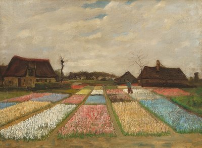 オランダの花壇。 1883年頃 作： Vincent van Gogh