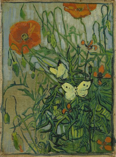 蝶とケシ 作： Vincent van Gogh