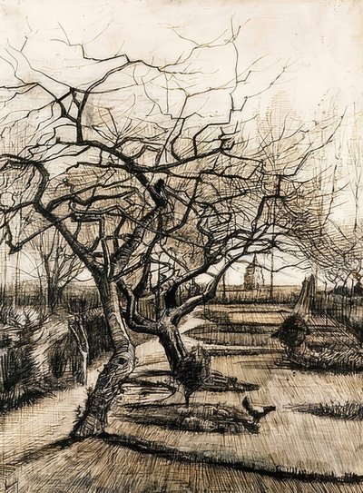 Nuenenの牧師館の庭。 1884 作： Vincent van Gogh