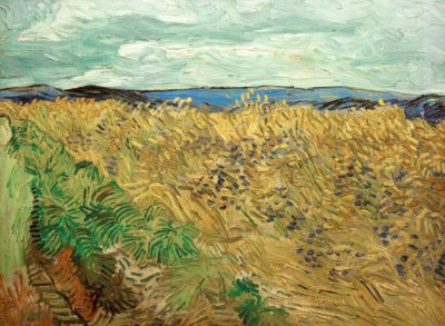 ヤグルマギクとフィールド 作： Vincent van Gogh