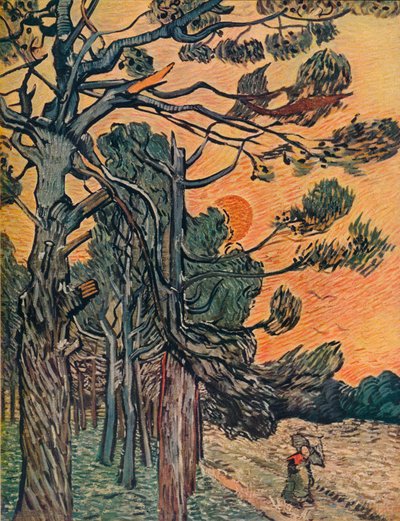 日の衰退、1889年の木の森 作： Vincent van Gogh