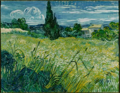 ヒノキと緑の麦畑 作： Vincent van Gogh