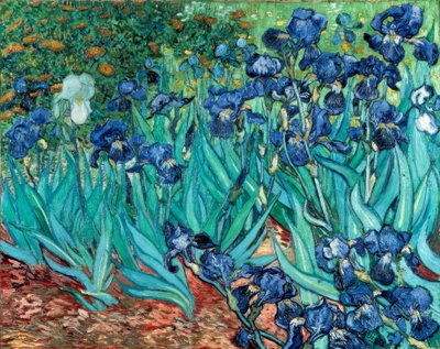 アイリス（irises） 作： Vincent van Gogh