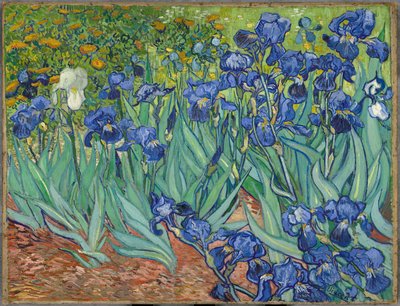 アイリス 作： Vincent van Gogh