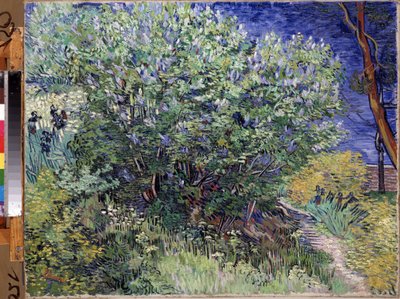 「ライラックの茂み」 (ライラックの茂み) Vincent van Gogh (1853-1890) による絵画 1889 Dim. 72x92 cm エルミタージュ美術館、サンクトペテルブルク (サンクトペテルブルク) 作： Vincent van Gogh