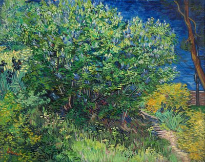 ライラック 作： Vincent van Gogh