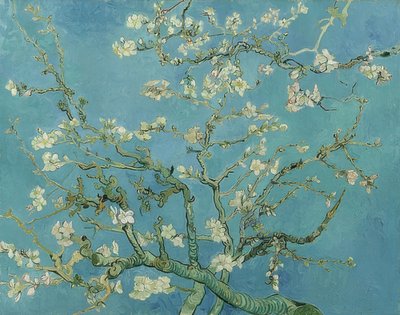 マンデルブルート。 1890 作： Vincent van Gogh