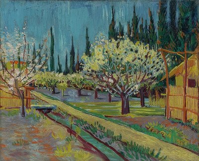 ヒノキの木に囲まれた果樹園。 1888 作： Vincent van Gogh