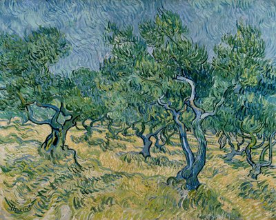 オリーブ畑 作： Vincent van Gogh