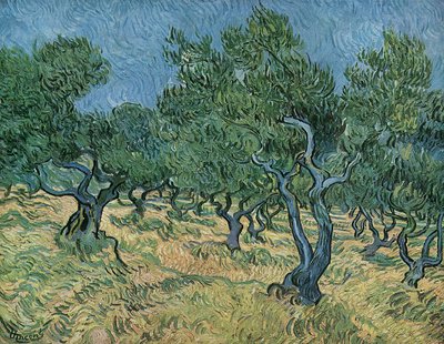 オリーブ・グローブ 作： Vincent van Gogh