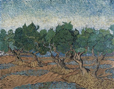 オリーブグローブ 作： Vincent van Gogh
