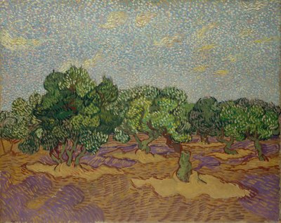 オリーブの木 作： Vincent van Gogh