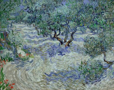 オリーブの木立 作： Vincent van Gogh