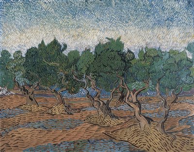 オリーブの木立。 1889 作： Vincent van Gogh
