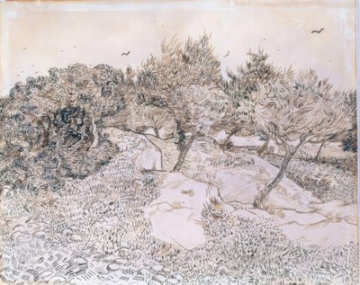 モンマジュールのオリーブの木 作： Vincent van Gogh