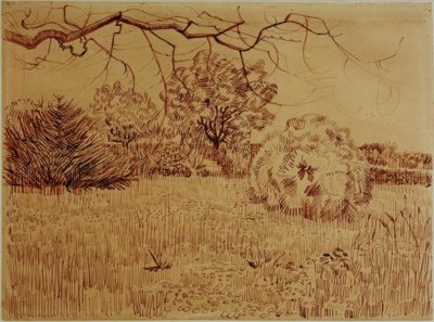 低木がある公園 作： Vincent van Gogh