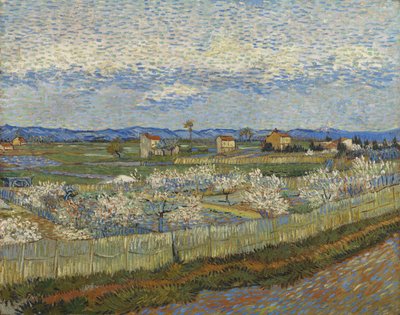 花の桃の木、1889 作： Vincent van Gogh