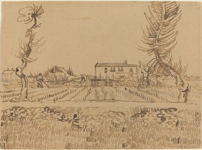 1888年、アルル近郊の畑の耕作者。 作： Vincent van Gogh